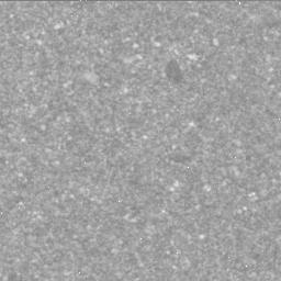 View image taken on Mars, Mars Perseverance Sol 1398: Right Mastcam-Z Camera