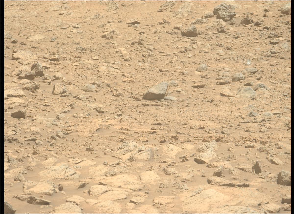 This image was taken by MCZ_LEFT onboard NASA's Mars rover Perseverance on Sol 1399