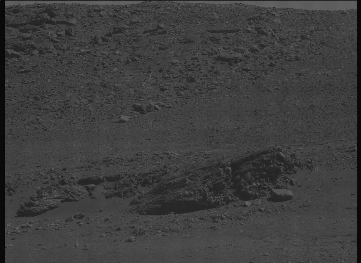 This image was taken by MCZ_LEFT onboard NASA's Mars rover Perseverance on Sol 1399