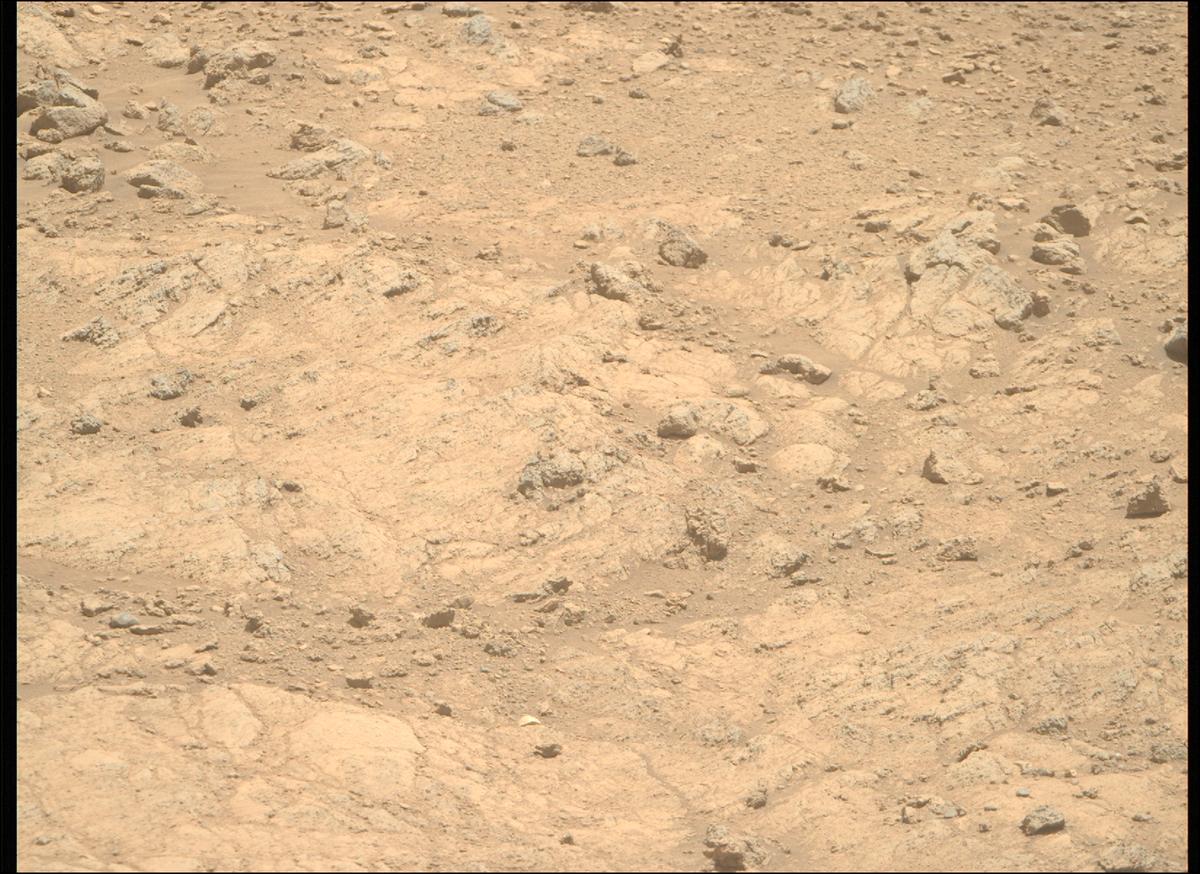 This image was taken by MCZ_RIGHT onboard NASA's Mars rover Perseverance on Sol 1399