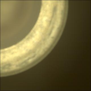 View image taken on Mars, Mars Perseverance Sol 1401: Sample Caching System Camera (CacheCam)