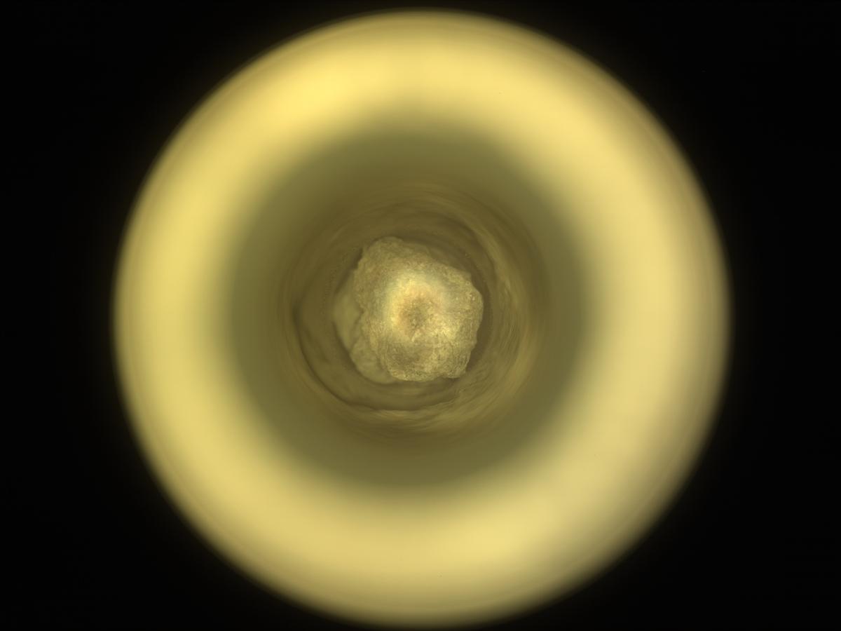 This image was taken by CACHECAM onboard NASA's Mars rover Perseverance on Sol 1401