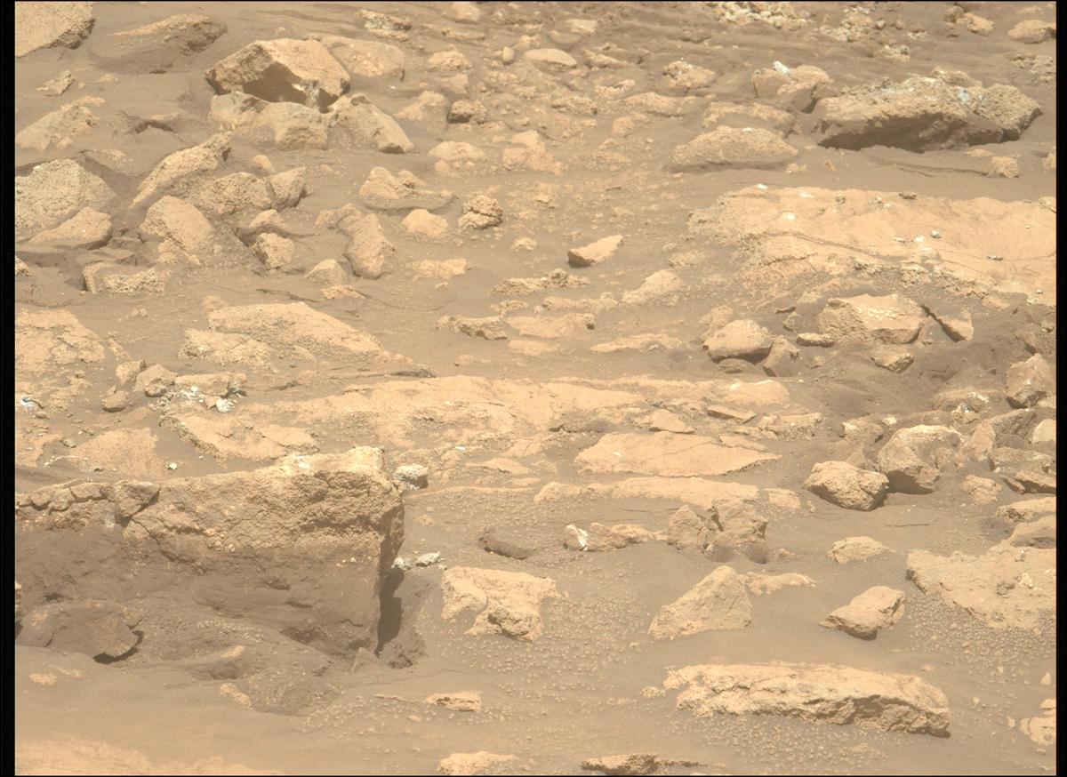 This image was taken by MCZ_LEFT onboard NASA's Mars rover Perseverance on Sol 1402