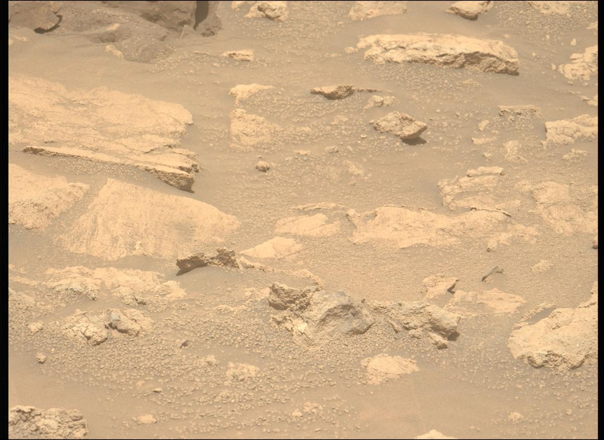 This image was taken by MCZ_LEFT onboard NASA's Mars rover Perseverance on Sol 1402
