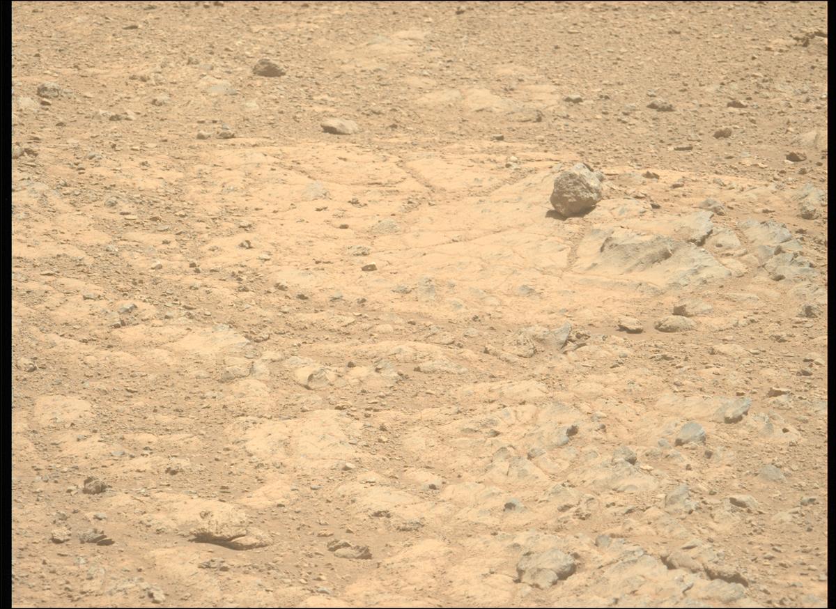 This image was taken by MCZ_LEFT onboard NASA's Mars rover Perseverance on Sol 1402