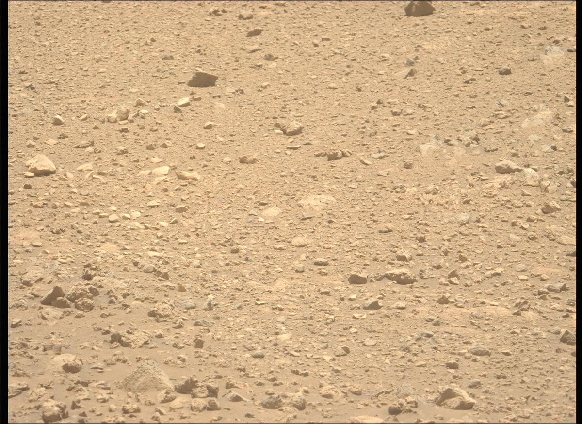 This image was taken by MCZ_LEFT onboard NASA's Mars rover Perseverance on Sol 1402