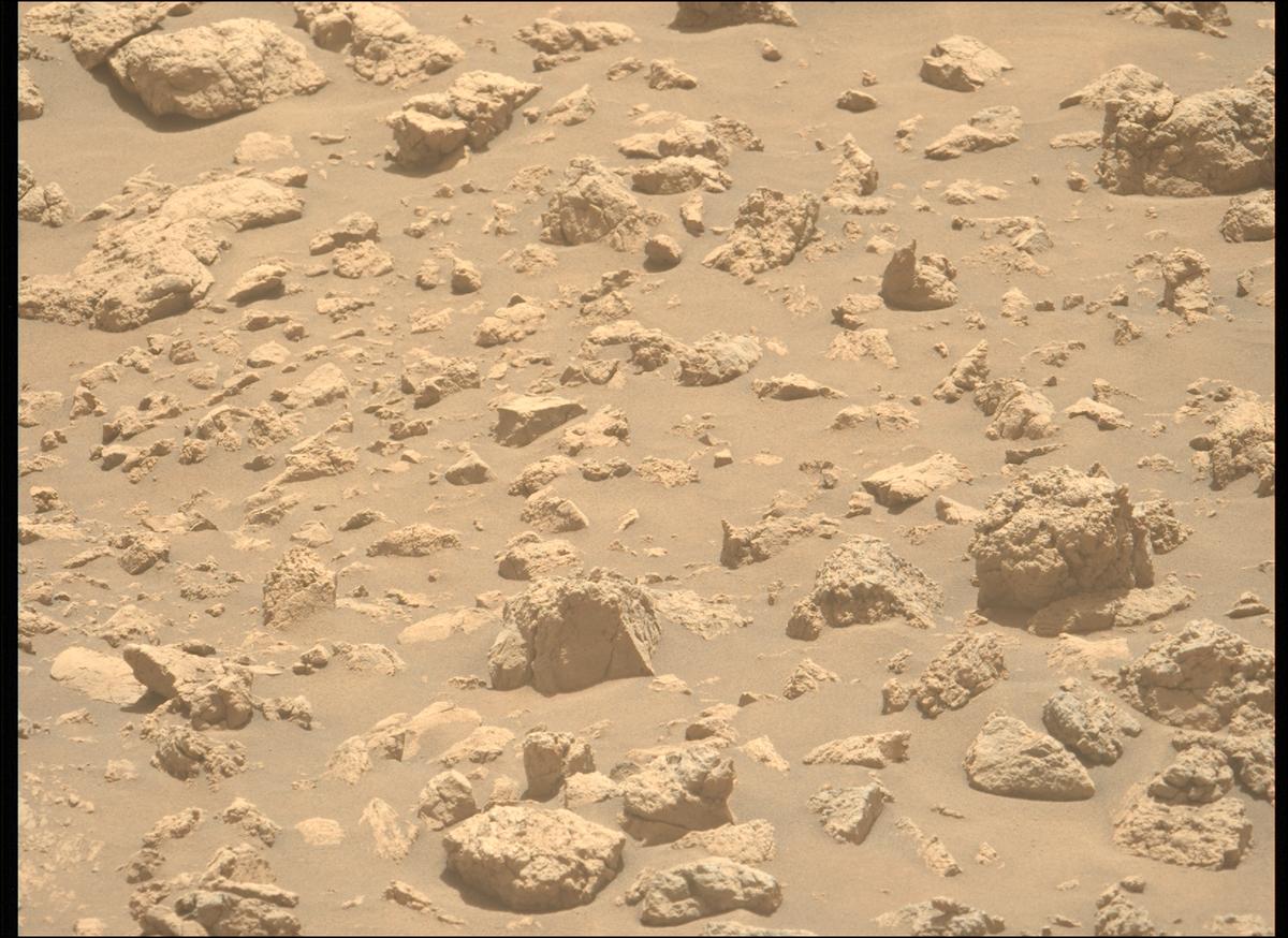 This image was taken by MCZ_LEFT onboard NASA's Mars rover Perseverance on Sol 1402
