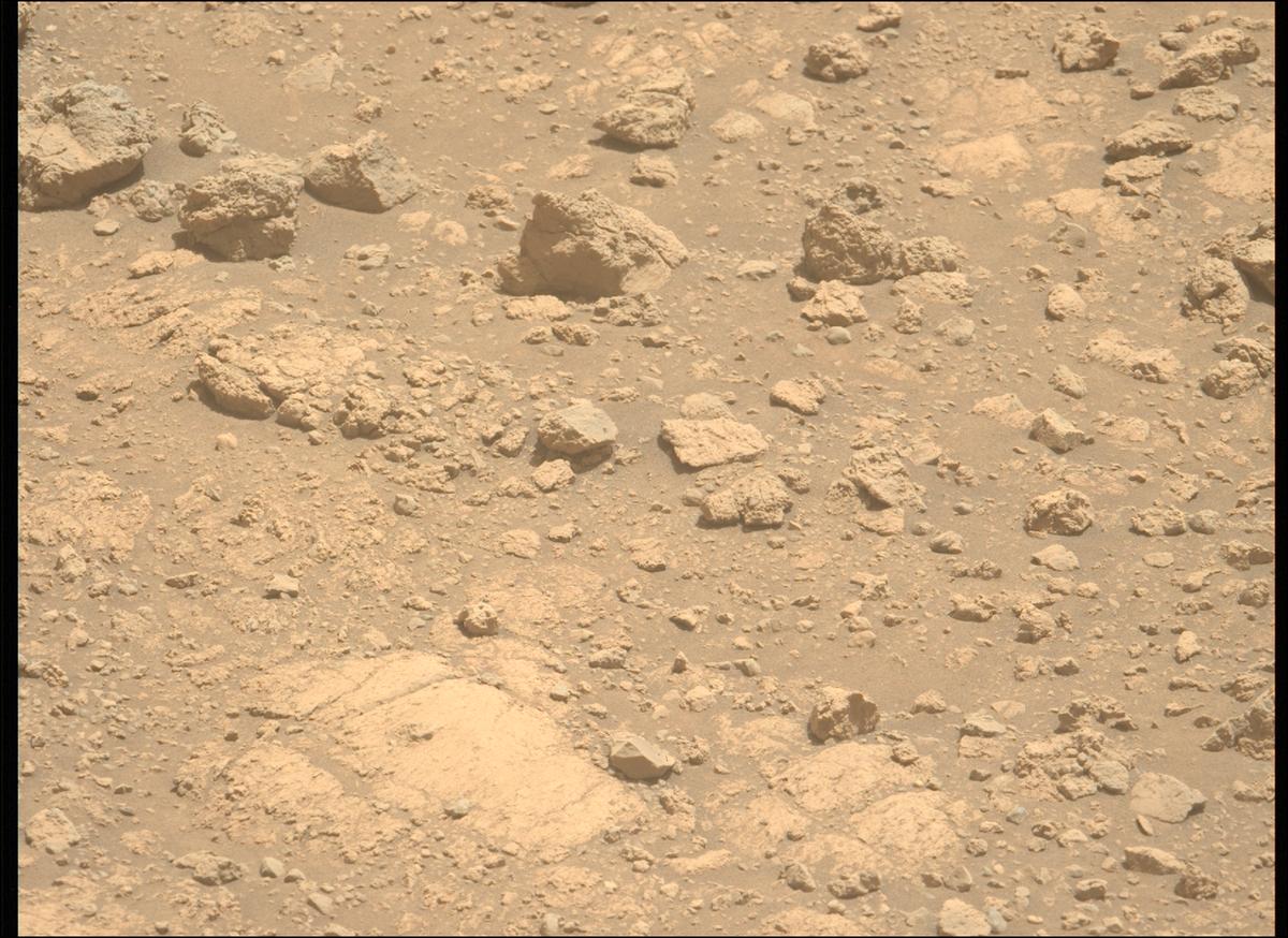 This image was taken by MCZ_LEFT onboard NASA's Mars rover Perseverance on Sol 1402