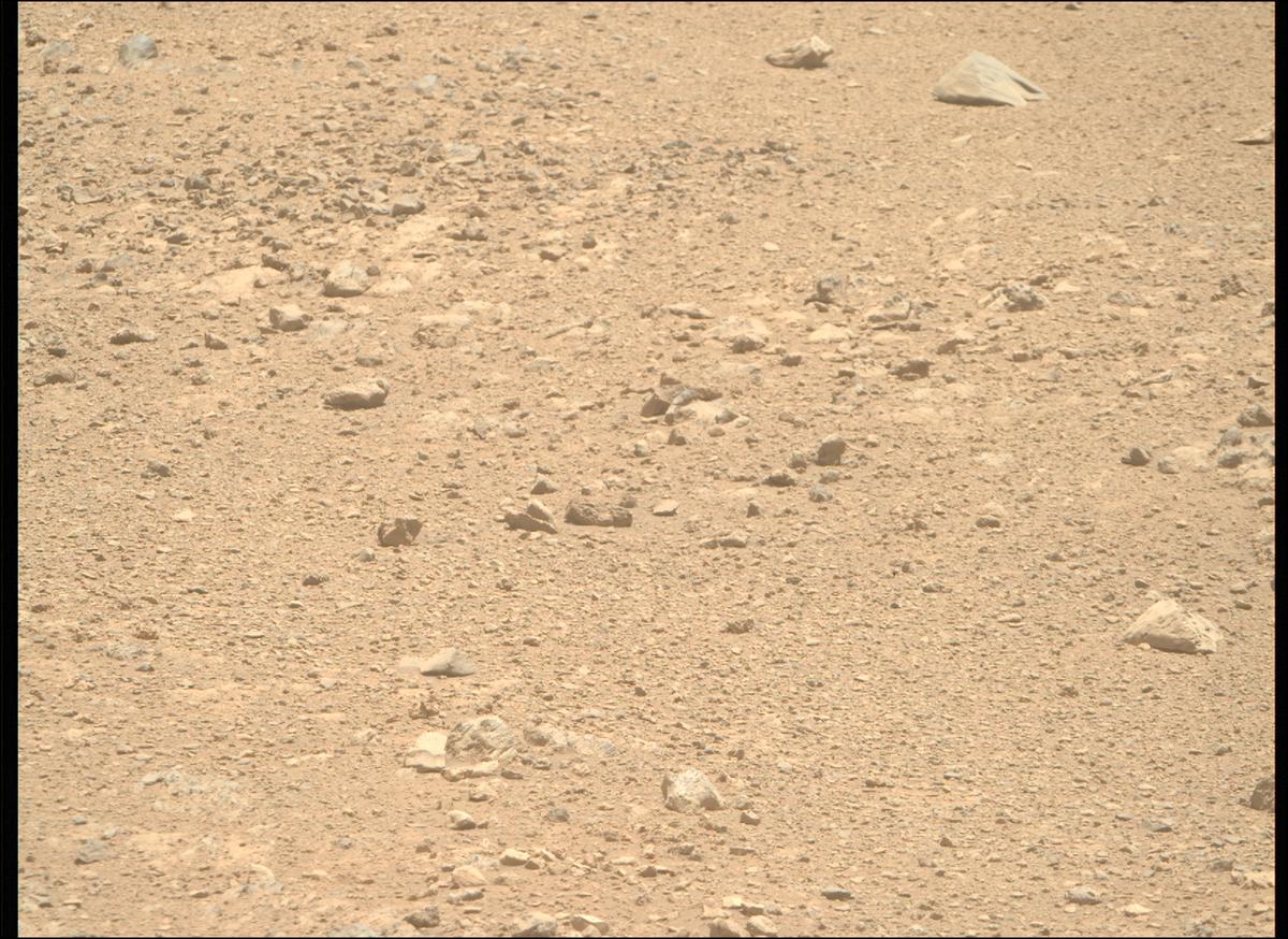 This image was taken by MCZ_RIGHT onboard NASA's Mars rover Perseverance on Sol 1402