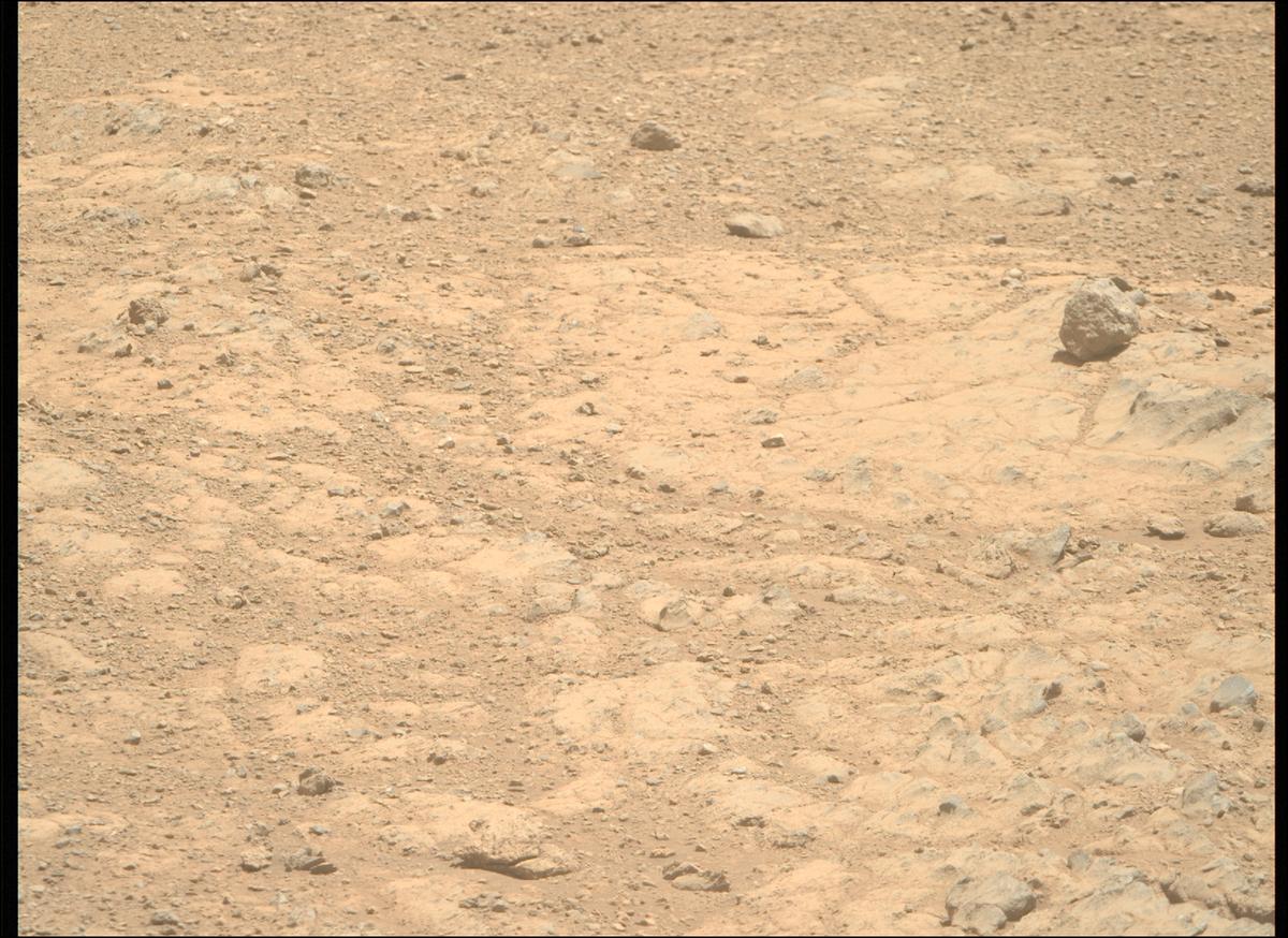 This image was taken by MCZ_RIGHT onboard NASA's Mars rover Perseverance on Sol 1402