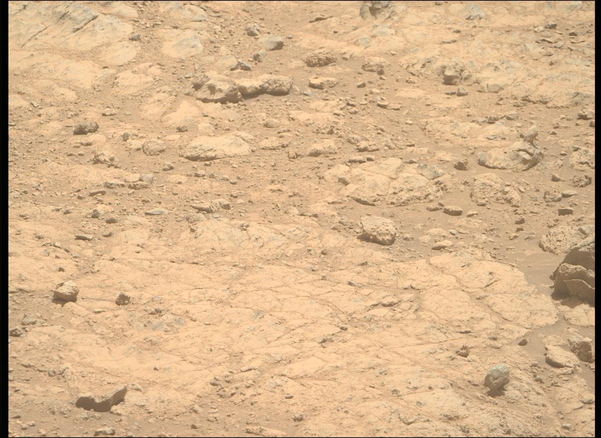This image was taken by MCZ_RIGHT onboard NASA's Mars rover Perseverance on Sol 1402