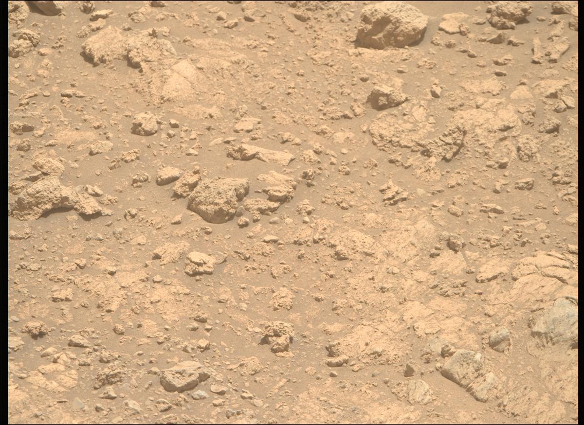This image was taken by MCZ_RIGHT onboard NASA's Mars rover Perseverance on Sol 1402