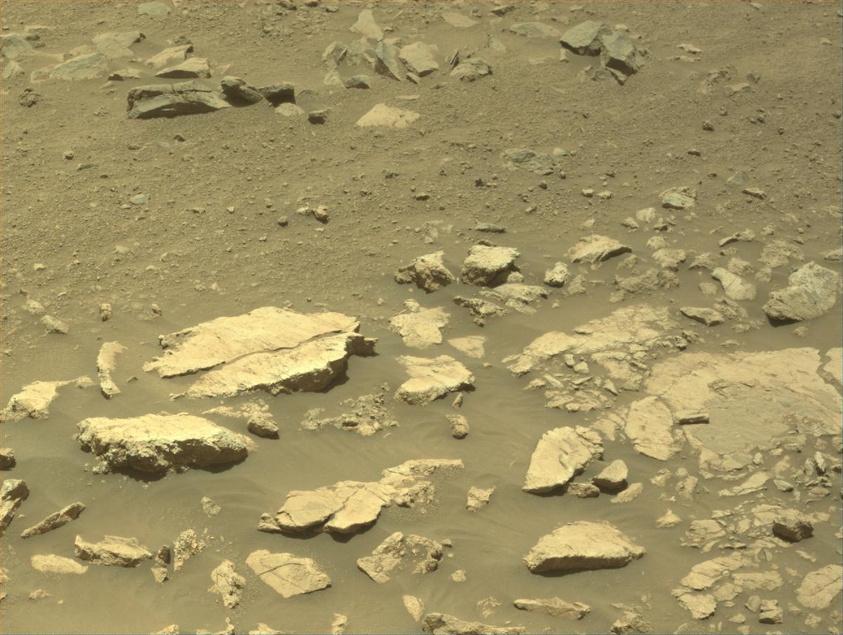 This image was taken by NAVCAM_LEFT onboard NASA's Mars rover Perseverance on Sol 1403