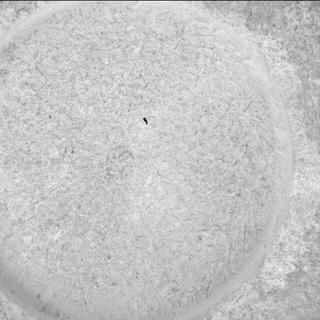 View image taken on Mars, Mars Perseverance Sol 1404: WATSON Camera 