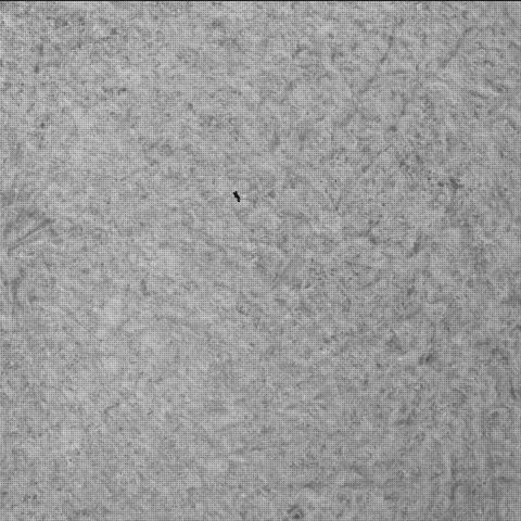 This image was taken by SHERLOC_WATSON onboard NASA's Mars rover Perseverance on Sol 1404