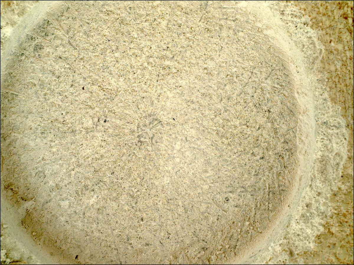 This image was taken by SHERLOC_WATSON onboard NASA's Mars rover Perseverance on Sol 1404