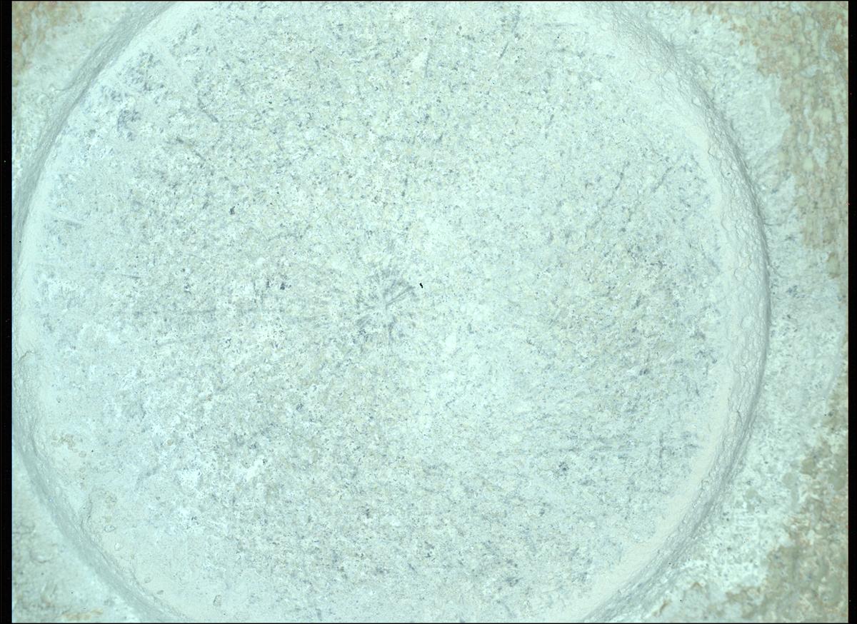 This image was taken by SHERLOC_WATSON onboard NASA's Mars rover Perseverance on Sol 1404