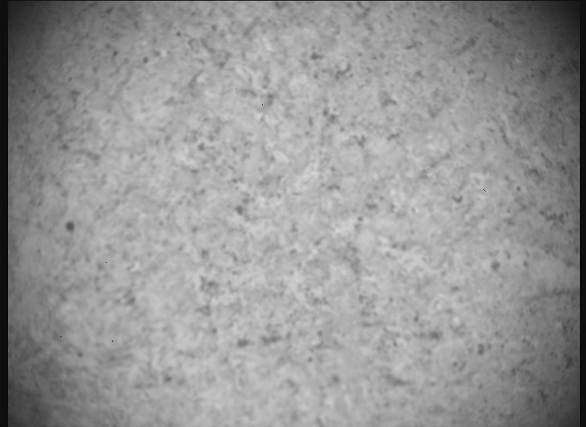 This image was taken by SHERLOC_ACI onboard NASA's Mars rover Perseverance on Sol 1405