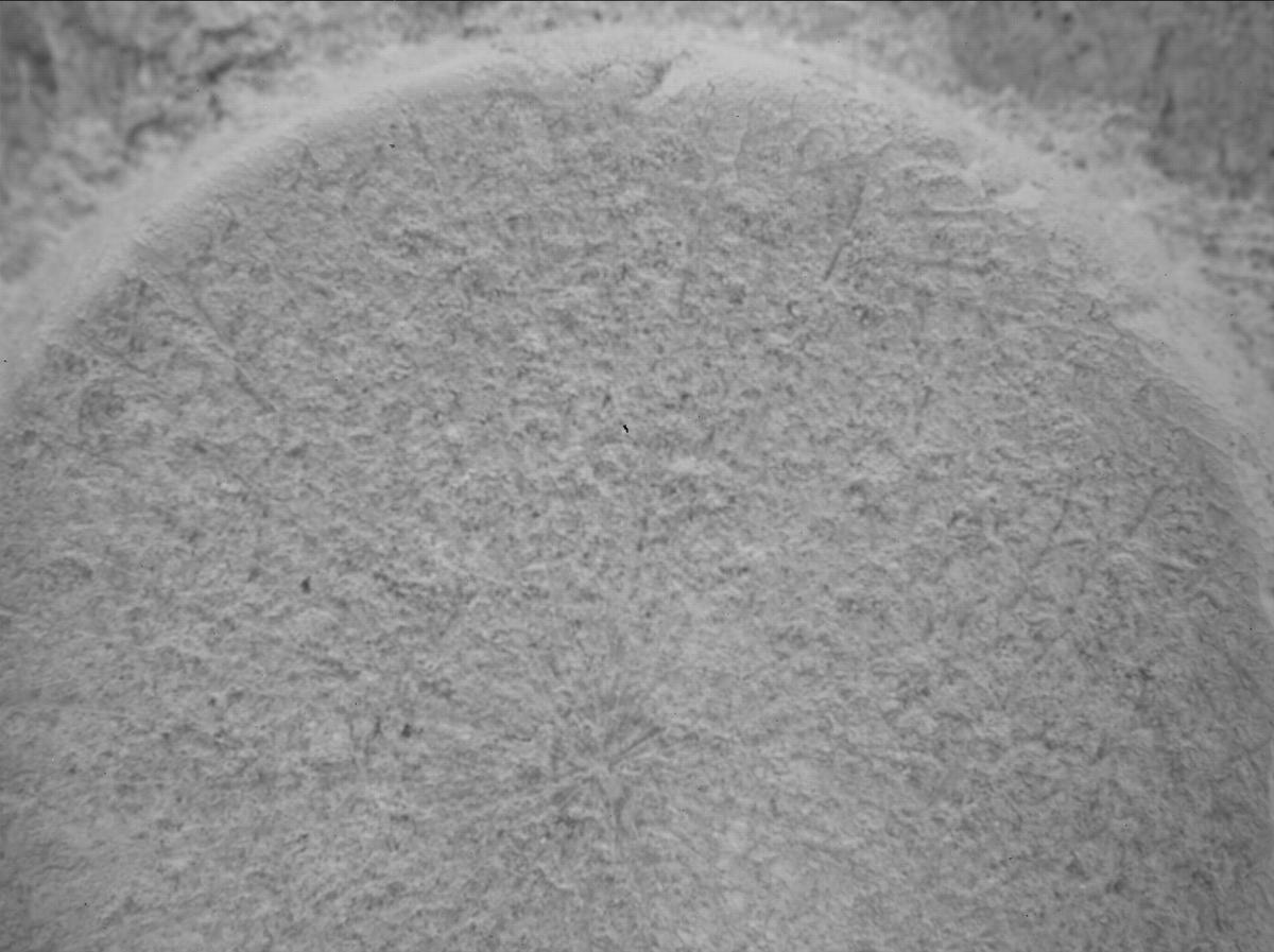 This image was taken by SHERLOC_WATSON onboard NASA's Mars rover Perseverance on Sol 1405