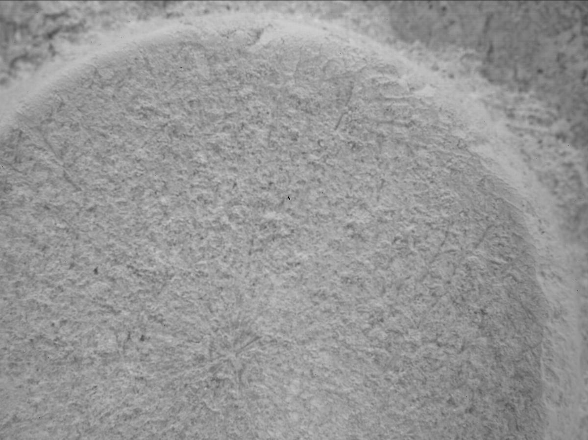 This image was taken by SHERLOC_WATSON onboard NASA's Mars rover Perseverance on Sol 1405