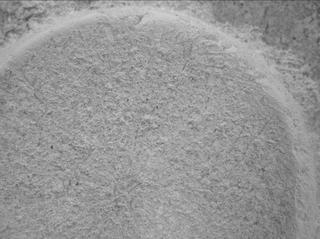 View image taken on Mars, Mars Perseverance Sol 1405: WATSON Camera 