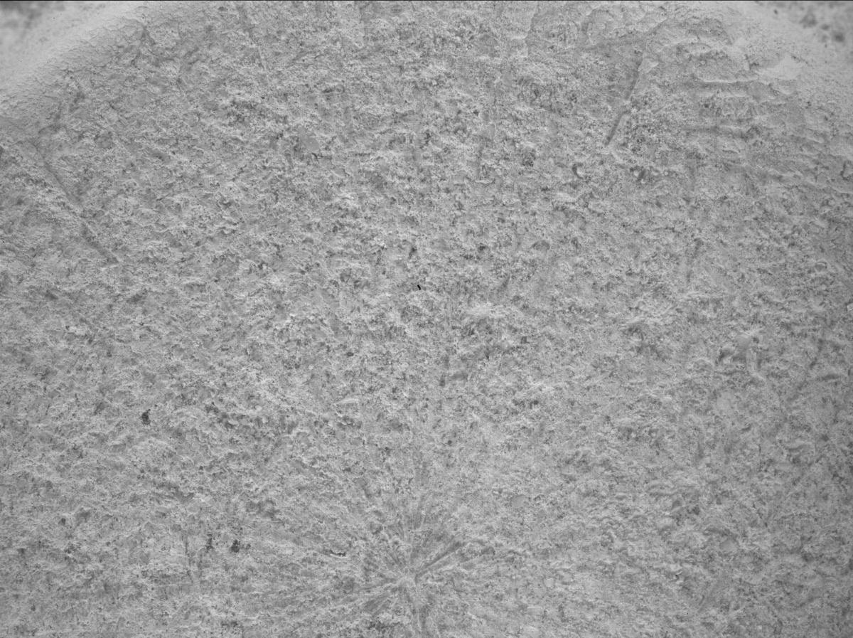 This image was taken by SHERLOC_WATSON onboard NASA's Mars rover Perseverance on Sol 1405