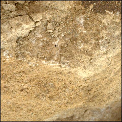 This image was taken by SHERLOC_WATSON onboard NASA's Mars rover Perseverance on Sol 1405