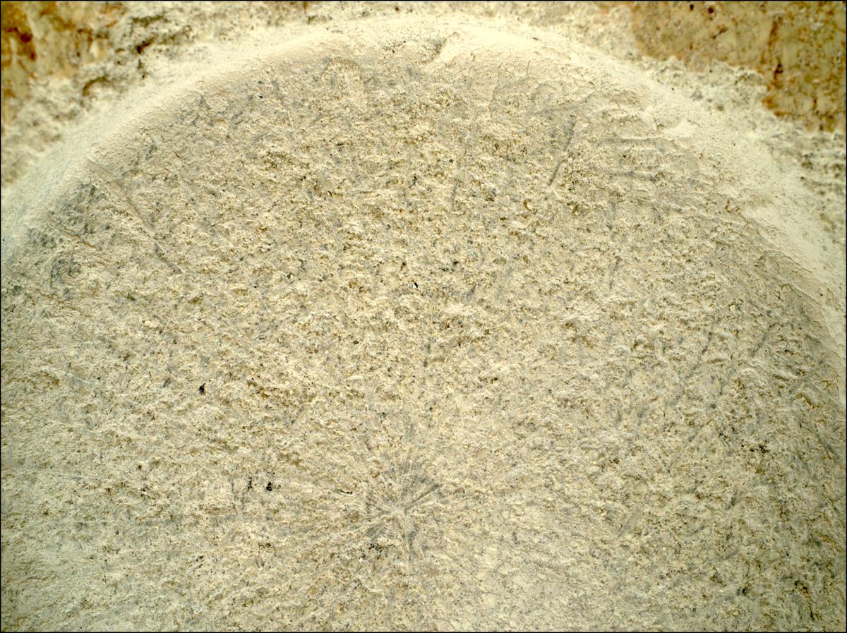 This image was taken by SHERLOC_WATSON onboard NASA's Mars rover Perseverance on Sol 1405