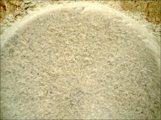 View image taken on Mars, Mars Perseverance Sol 1405: WATSON Camera 