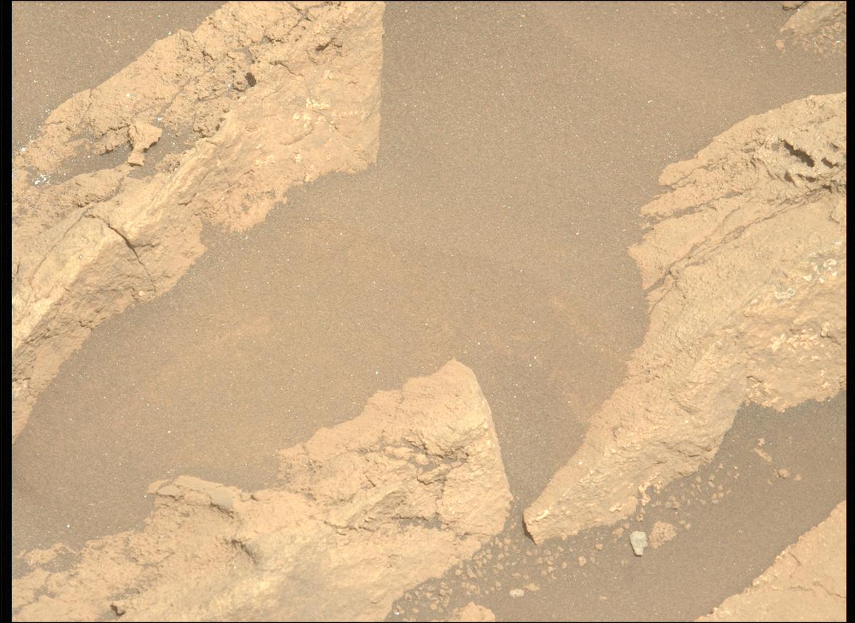 This image was taken by MCZ_LEFT onboard NASA's Mars rover Perseverance on Sol 1405