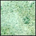 View image taken on Mars, Mars Perseverance Sol 1405: Right Mastcam-Z Camera