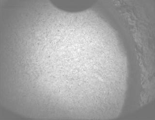 View image taken on Mars, Mars Perseverance Sol 1406: PIXL Camera 