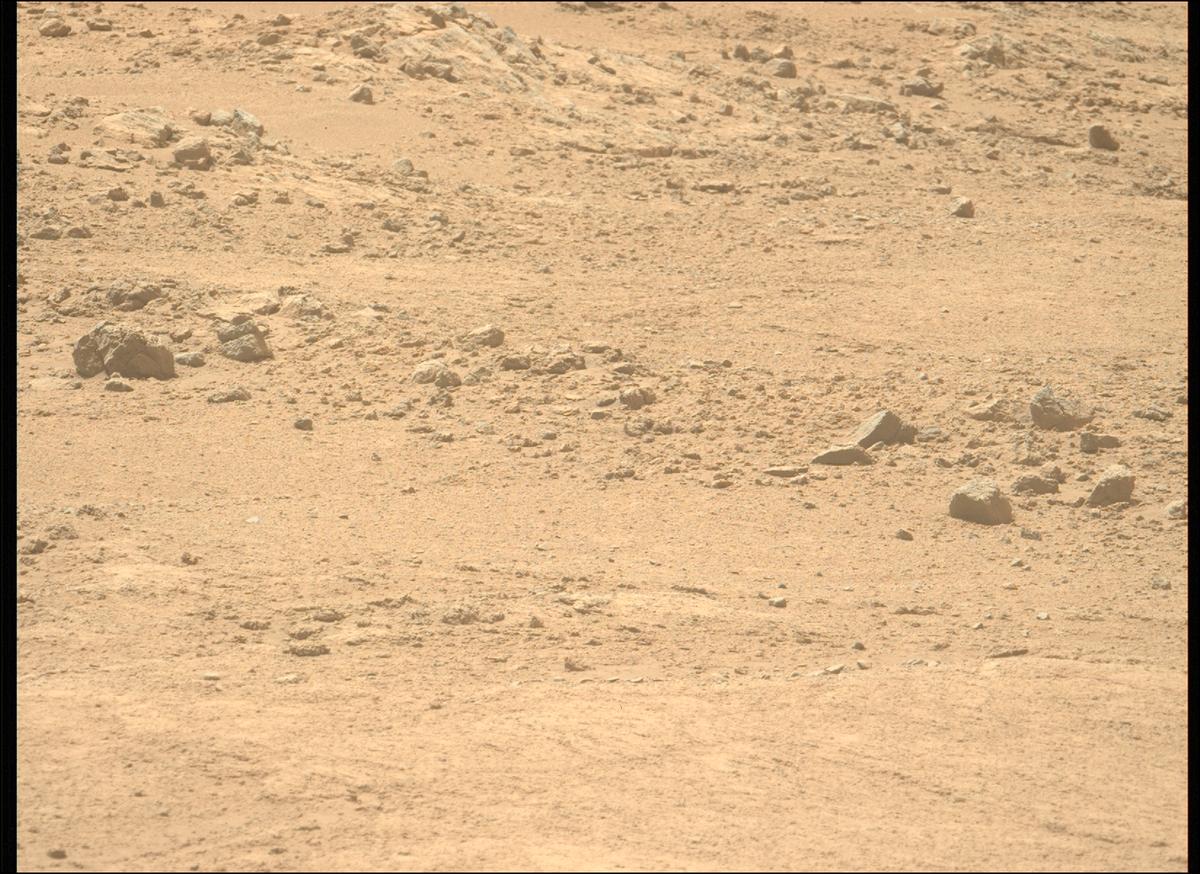 This image was taken by MCZ_LEFT onboard NASA's Mars rover Perseverance on Sol 1408
