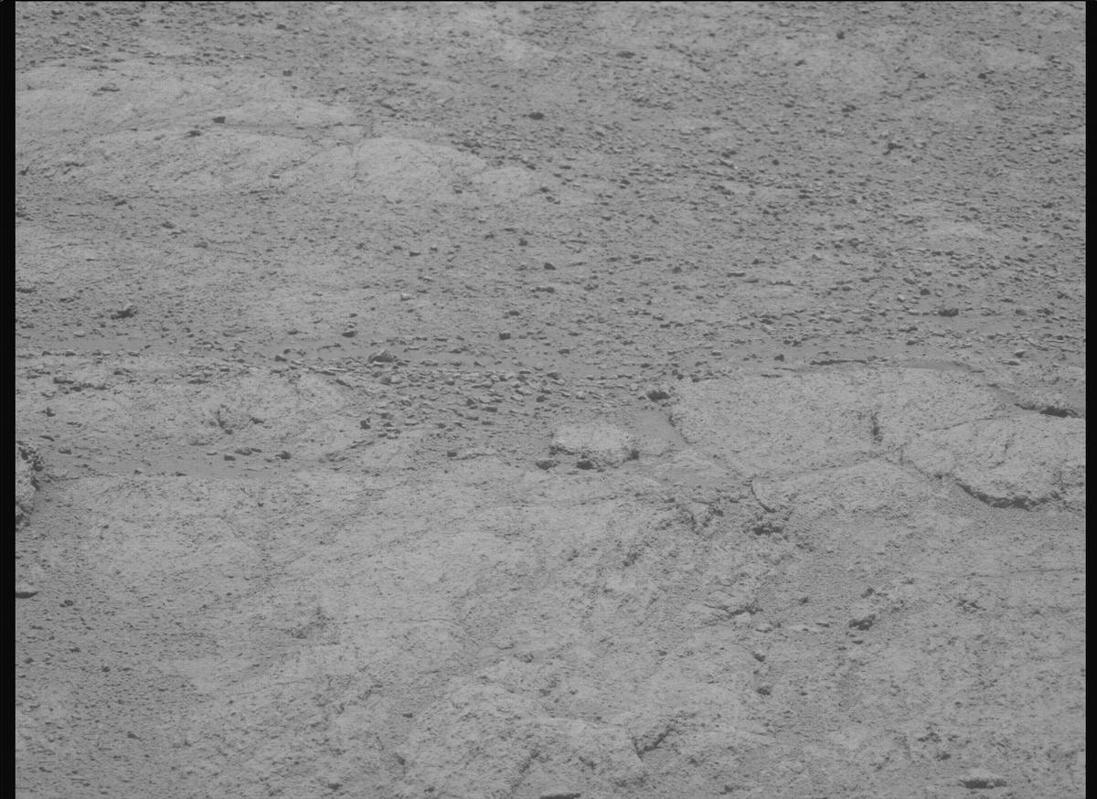 This image was taken by MCZ_LEFT onboard NASA's Mars rover Perseverance on Sol 1408