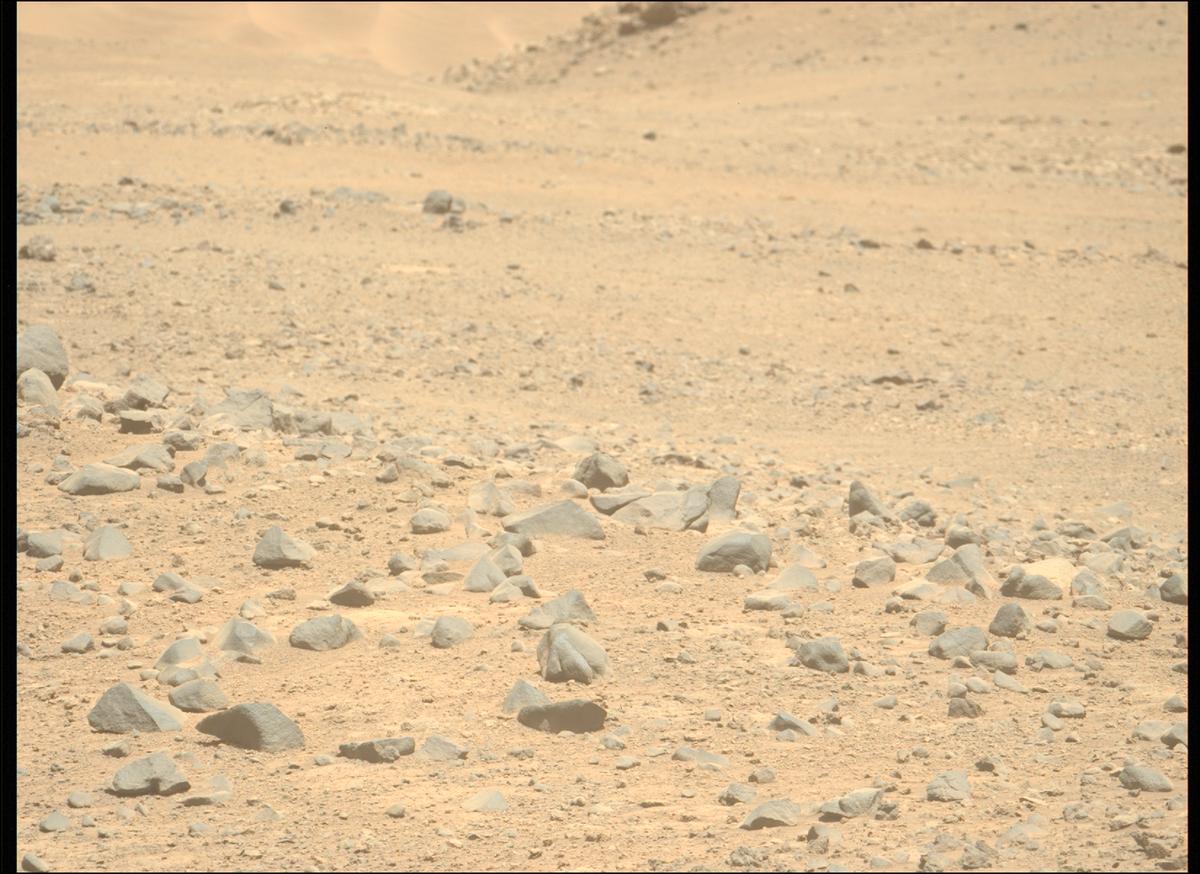 This image was taken by MCZ_LEFT onboard NASA's Mars rover Perseverance on Sol 1410