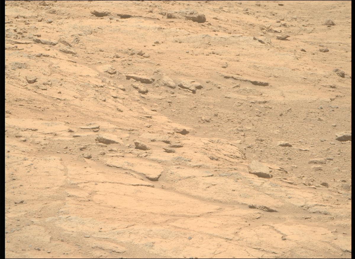 This image was taken by MCZ_RIGHT onboard NASA's Mars rover Perseverance on Sol 1410