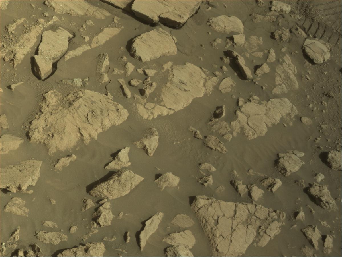 This image was taken by NAVCAM_RIGHT onboard NASA's Mars rover Perseverance on Sol 1419