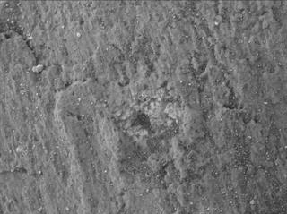 View image taken on Mars, Mars Perseverance Sol 1420: WATSON Camera 