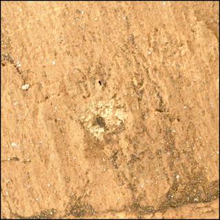 View image taken on Mars, Mars Perseverance Sol 1420: WATSON Camera 