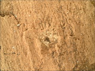 View image taken on Mars, Mars Perseverance Sol 1420: WATSON Camera 