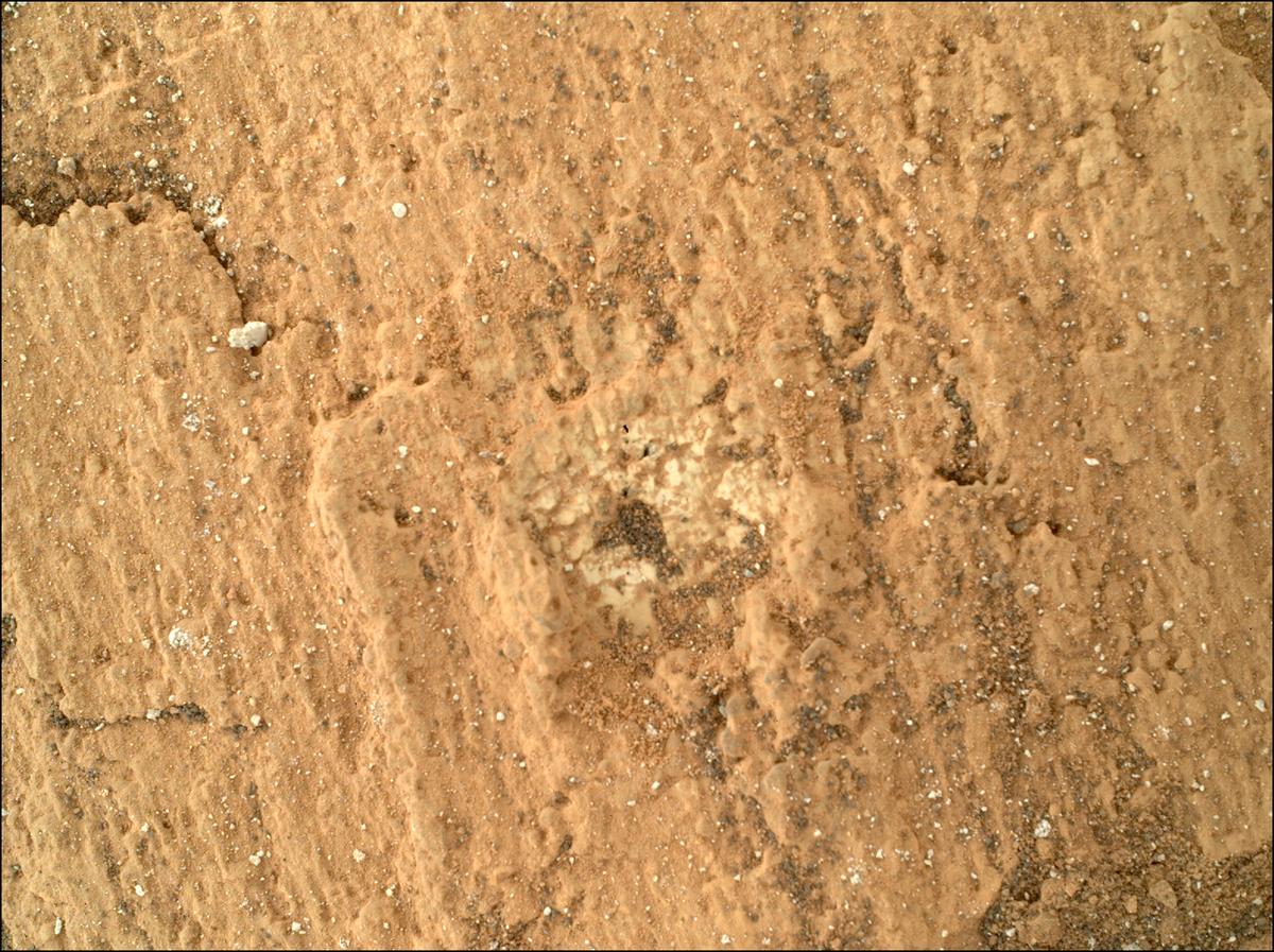 This image was taken by SHERLOC_WATSON onboard NASA's Mars rover Perseverance on Sol 1420