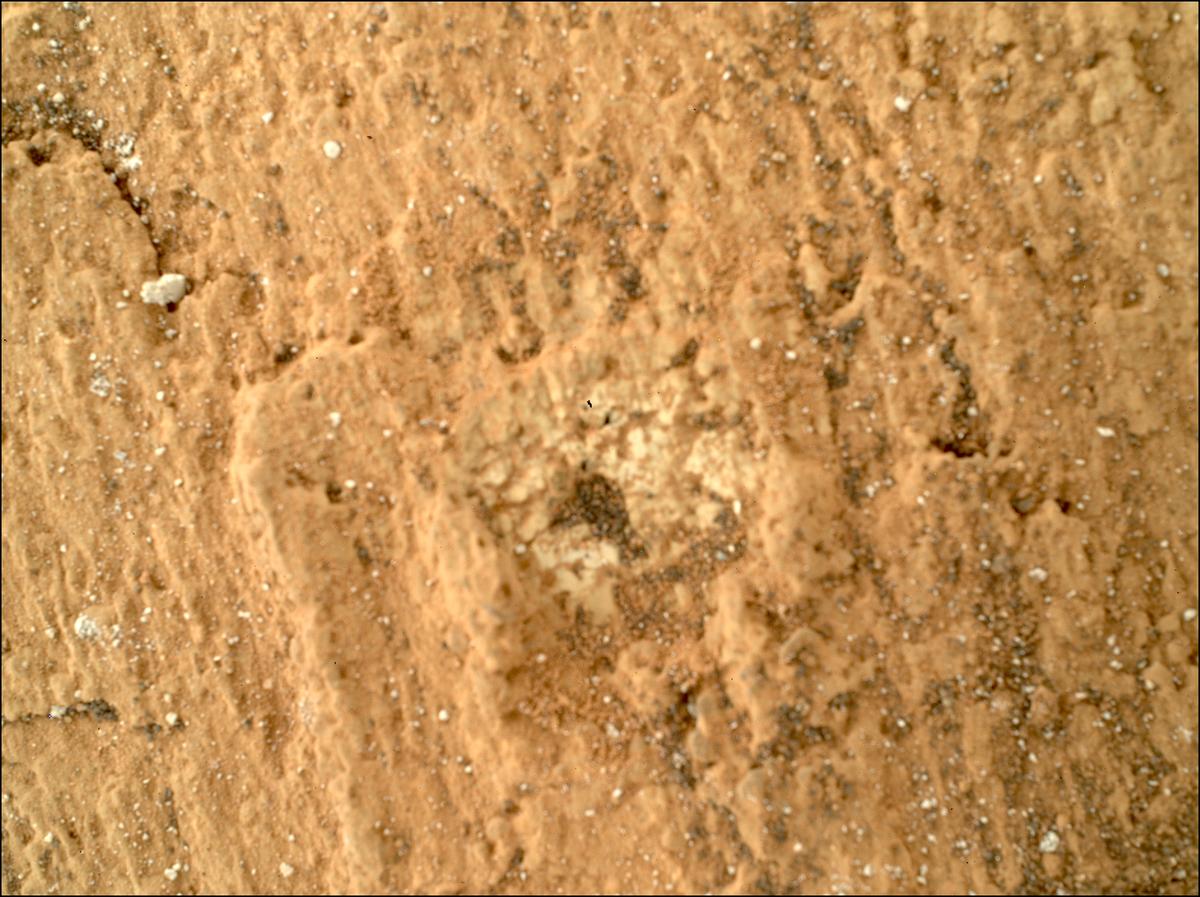 This image was taken by SHERLOC_WATSON onboard NASA's Mars rover Perseverance on Sol 1420