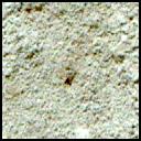 This image was taken by MCZ_RIGHT onboard NASA's Mars rover Perseverance on Sol 1423