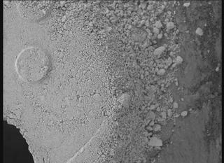 View image taken on Mars, Mars Perseverance Sol 1424: WATSON Camera 