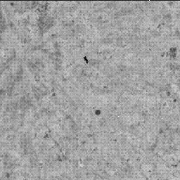 View image taken on Mars, Mars Perseverance Sol 1424: WATSON Camera 