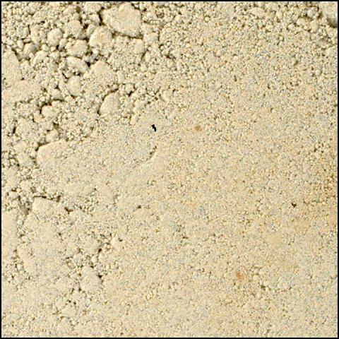 This image was taken by SHERLOC_WATSON onboard NASA's Mars rover Perseverance on Sol 1424