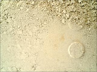 View image taken on Mars, Mars Perseverance Sol 1424: WATSON Camera 