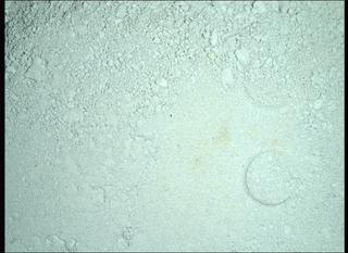 View image taken on Mars, Mars Perseverance Sol 1424: WATSON Camera 