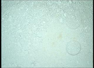 View image taken on Mars, Mars Perseverance Sol 1424: WATSON Camera 