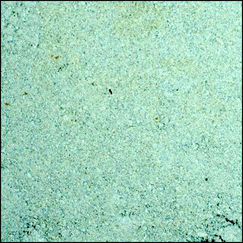 This image was taken by SHERLOC_WATSON onboard NASA's Mars rover Perseverance on Sol 1424